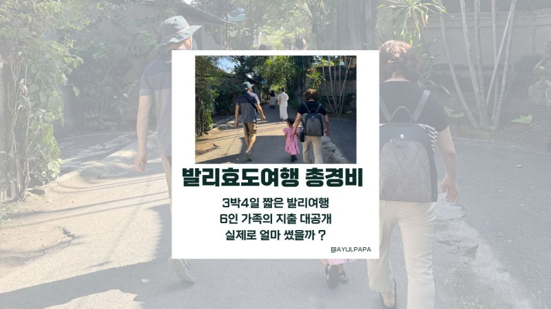 아이와 함께한 3박 4일 발리 가족여행 6인 가족 총경비｜항공권 숙소 투어 식비까지 실제 사....