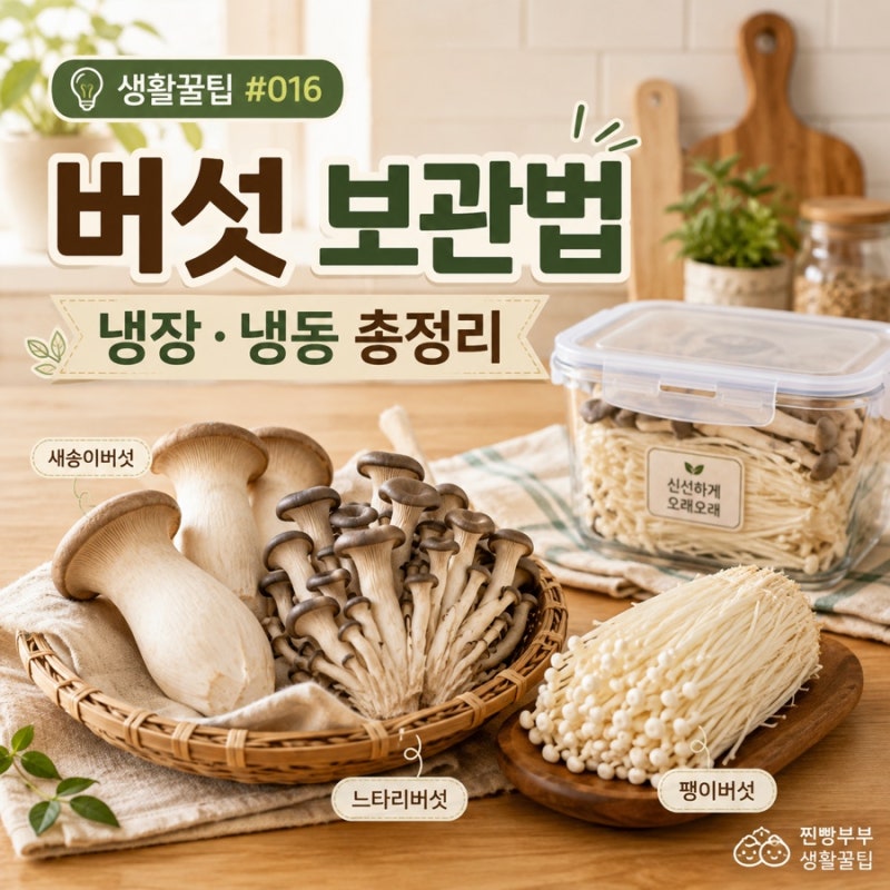 생활꿀팁 #016 | 버섯 보관법 냉장·냉동 총정리! 물러지지 않게 오래 보관하는 방법