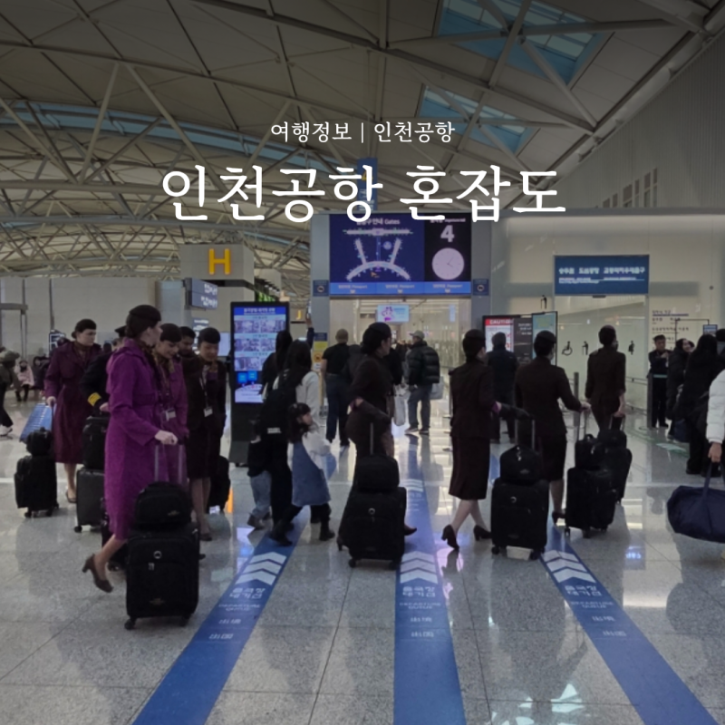 인천공항 혼잡도 실시간 출국장 1터미널 2터미널 예상 조회