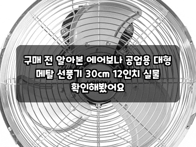 구매 전 알아본 에어보나 공업용 대형 메탈 선풍기 30cm 12인치 실물 확인해봤어요