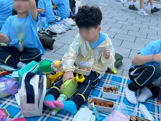 어린이집 유치원 가을소풍 도시락만 챙기면 큰일나요, 의외로 빠뜨리는 이것