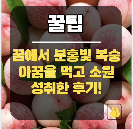 꿈에서 분홍빛 복숭아꿈을 먹고 소원 성취한 후기!