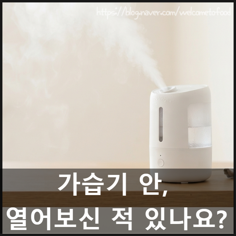 가습기 청소 방법, 종류별 물때·곰팡이 제거 총정리
