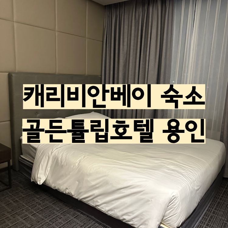 캐리비안베이 숙소 추천 아이와 함께 다녀온 골든튤립호텔 용인 할인 꿀팁