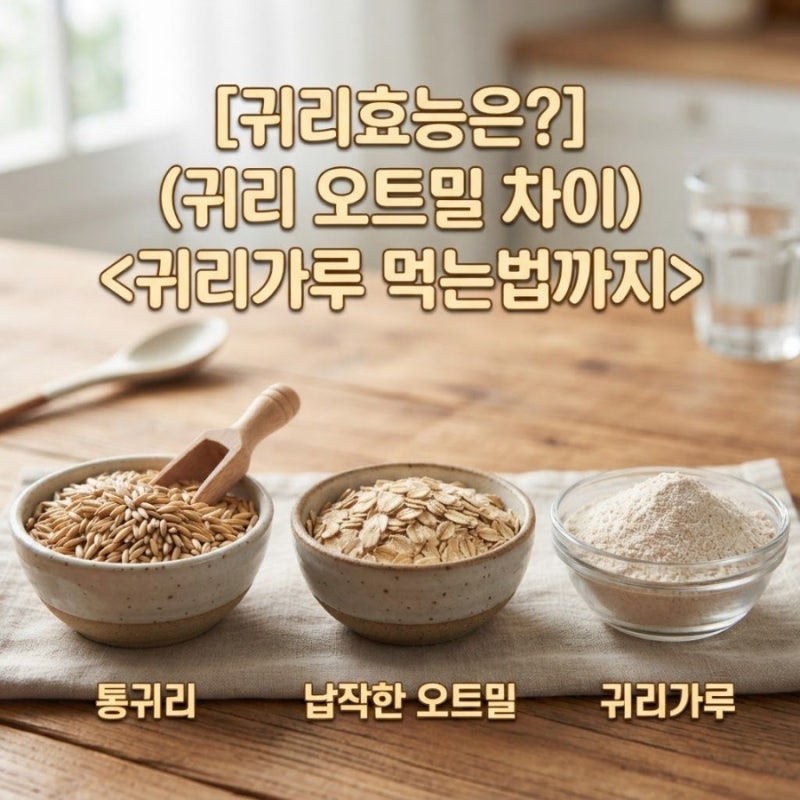 귀리효능은? 귀리 오트밀 차이와 귀리가루 먹는법까지