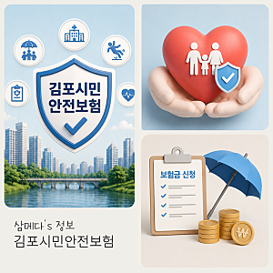 김포시민이라면 자동 가입, 2026 시민안전보험 주요 항목