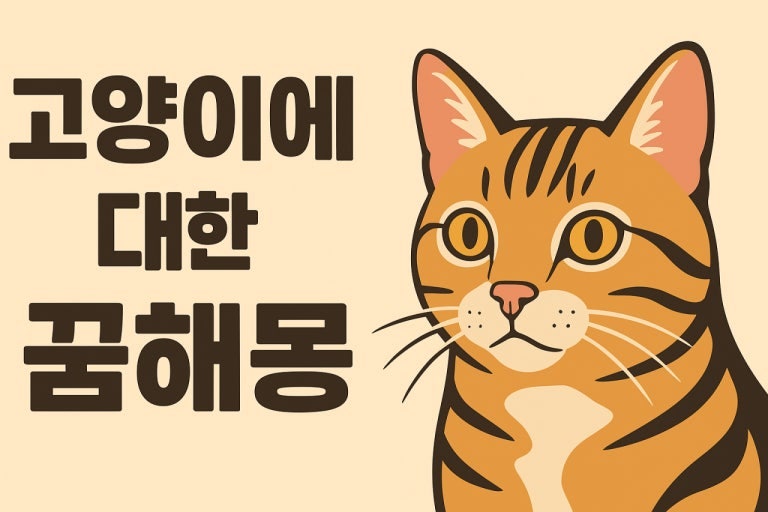 고양이 꿈 해몽, 고양이 나오는 꿈 상황별 의미 총정리