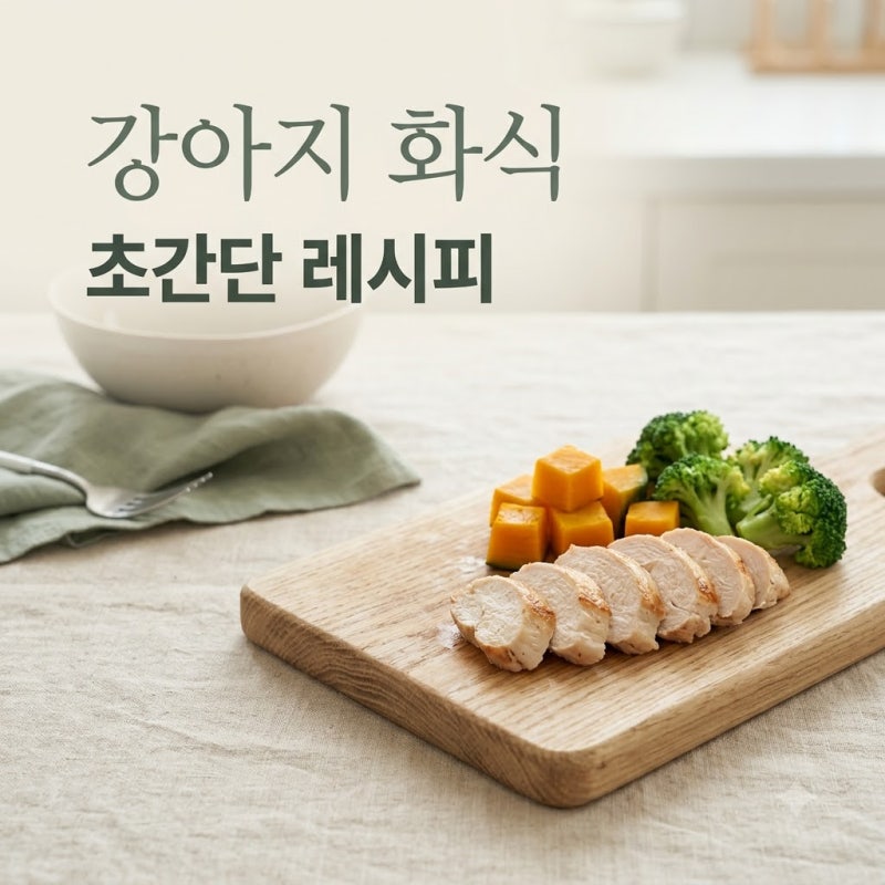 강아지 화식 만들기 초보 가이드 황금 비율과 영양 주의사항
