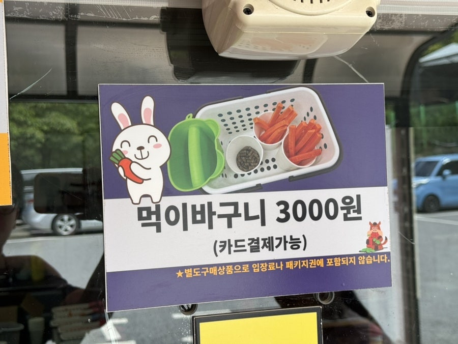 아침고요가족동물원 사진 3