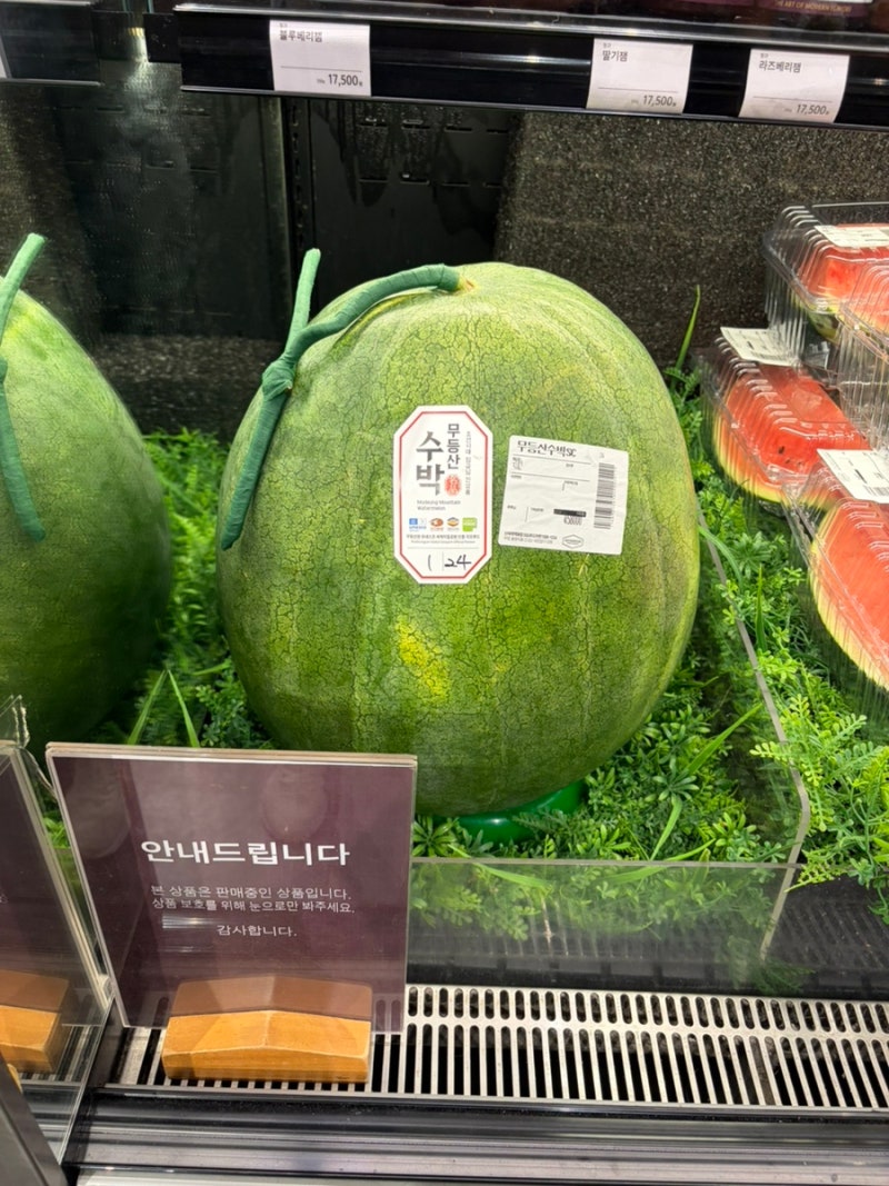[신세계백화점] 백화점 갔다가 깜짝 놀란 역대급 비주얼! 무등산 수박 사이즈와 가격 실화인....