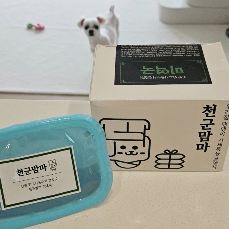 밥안먹는 강아지 미역국 추천 천군맘마 보양식 솔직후기