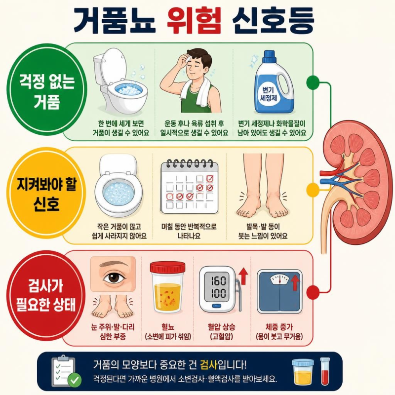 "소변에 거품이 자꾸 생긴다면?" 단백뇨와 신장 건강 확인