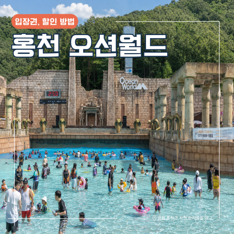 홍천 오션월드 2026 입장권 숙소 할인 셔틀버스 총정리