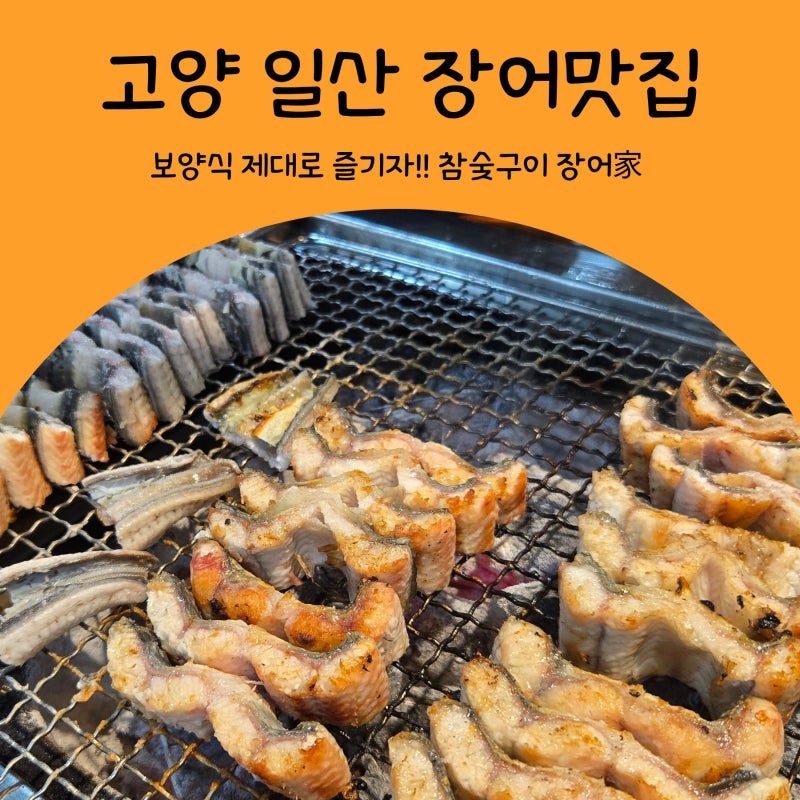 고양 일산 장어맛집 참숯구이 장어가 내돈내산 후기｜국내산 장어 참숯구이 제대로 즐기는 ....