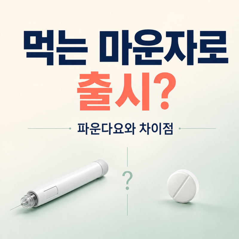 먹는 마운자로 출시? 파운다요와 차이점 총정리
