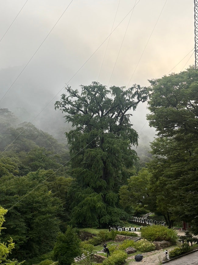 楊平龍門山龍門寺寺院住宿體驗型兩天一夜心得
