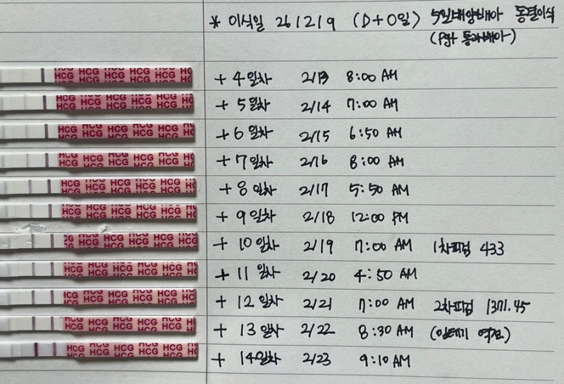 ep6. 분당차 시험관 ③ 5일 동결배아 이식 후 증상·임신 피검사 결과 (PGT-A 통배)