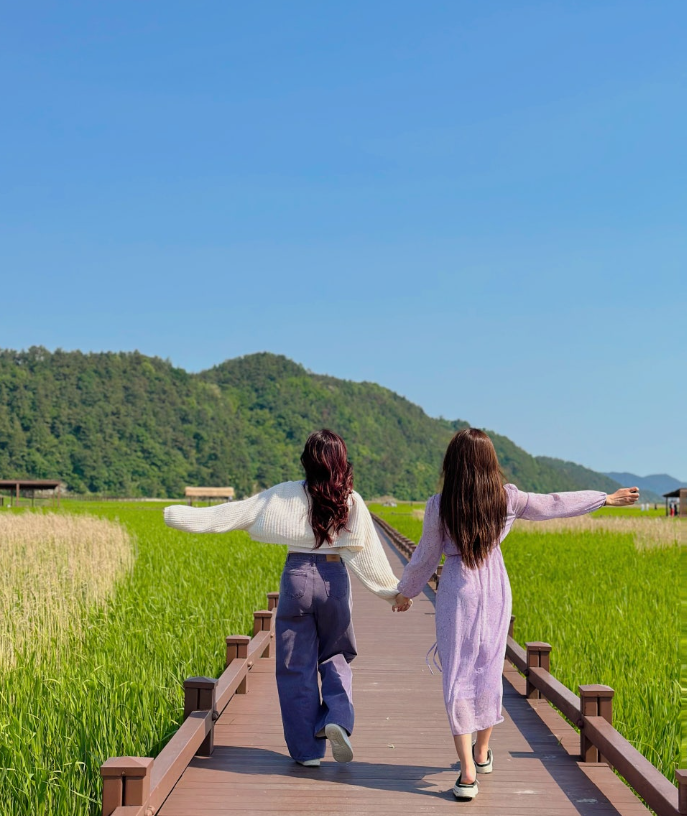 순천만국가정원 입장료 얼마｜주차 위치 운영시간부터 방문 꿀팁 총정리