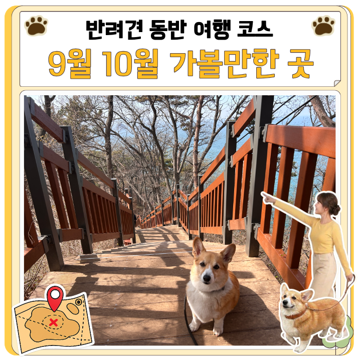 9월 10월 서울 근교 당일치기 가볼만한 곳 애견동반 Best 3