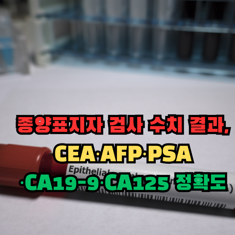 종양표지자 검사 수치 결과, CEA·AFP·PSA·CA19-9·CA125 정확도