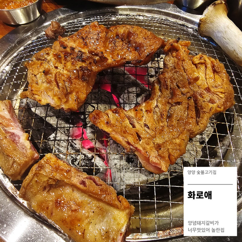 양양 고기집 추천, 화로애 방문 후기