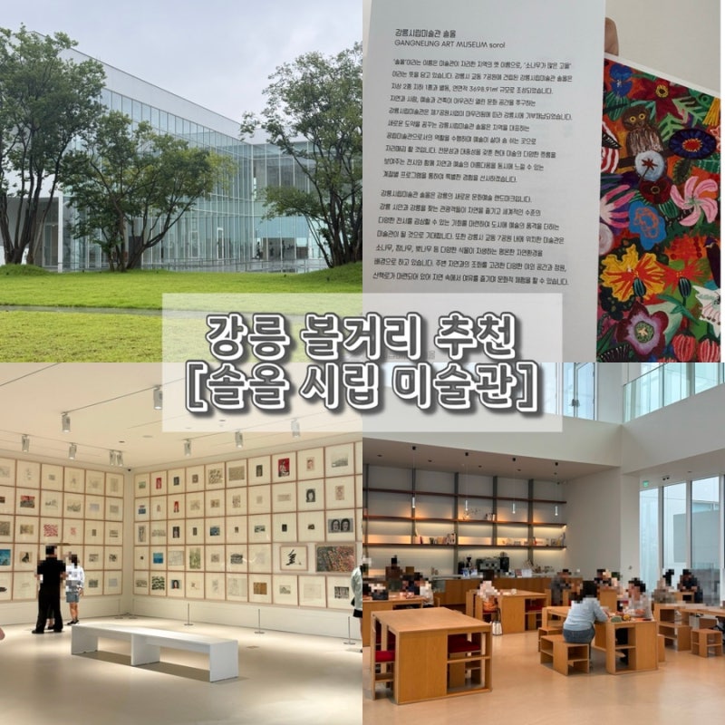 강릉 전시회 솔올 시립 미술관 카페 입장료 주차 비오는날 볼거리 추천!