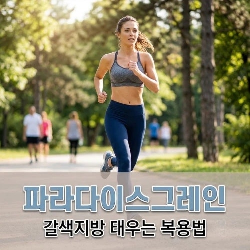 파라다이스그레인 효능 5가지, 갈색지방 태우는 복용법과 주의사항