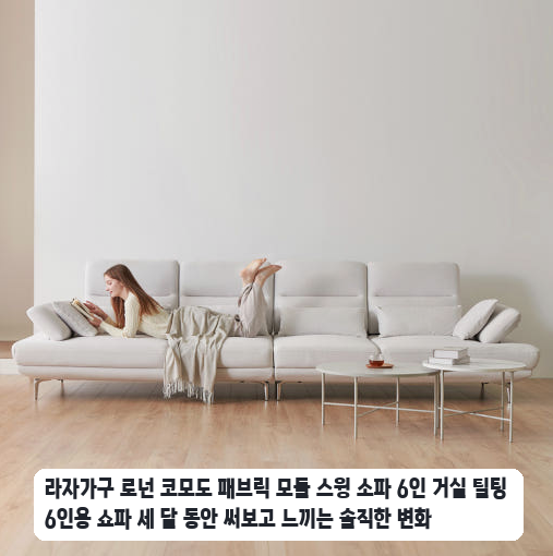 넓은 거실에 배치한 로넌 코모도 스윙 소파 한 달간 사용해 본 장단점