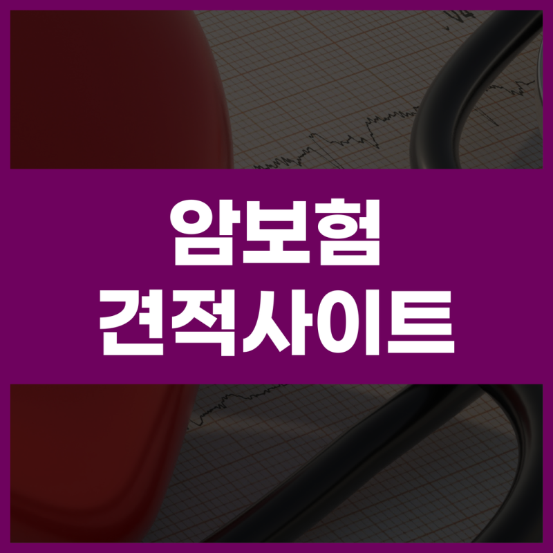 암보험비교사이트 비갱신형 갱신형, 암보험금 차이 플랜비보험으로 확인할 기준