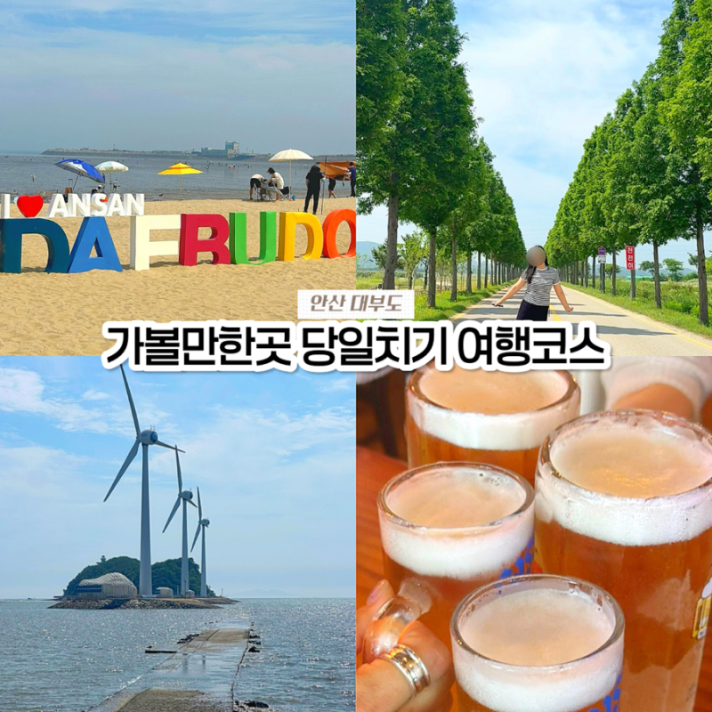 대부도 가볼만한곳 추천! 방아머리해수욕장 & 바다향기테마파크 & 탄도항 여행코스