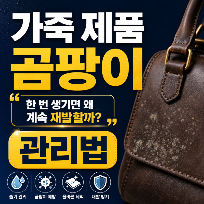 가죽 제품 곰팡이 "한 번 생기면 왜 계속 재발할까?" 관리법