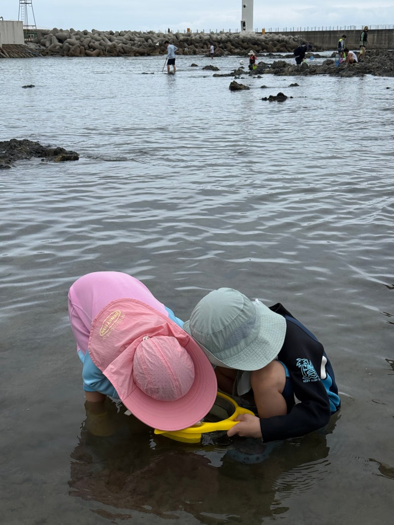 [강원도 강릉 5세 아이랑 가볼만한곳] 수심 얕은 안인해변 물놀이, 주차, 자율파라솔, 해루질,....