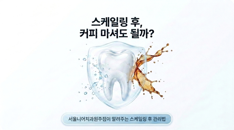 원주 스케일링 후 커피, 바로 마셔도 될까? 주의 사항과 관리법