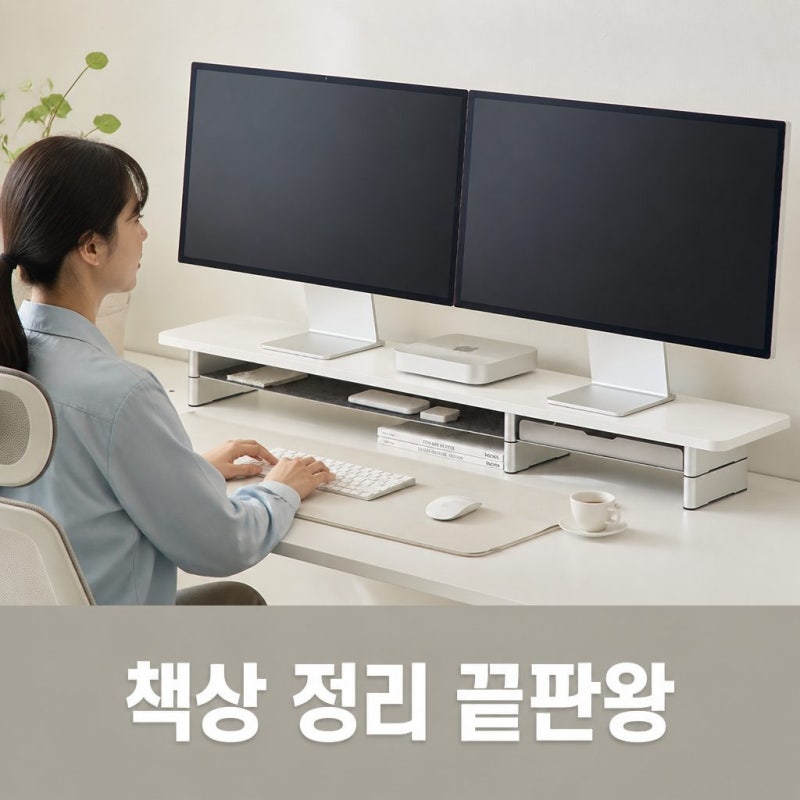 깔끔한 책상 정리의 시작 일리안 베이직 모듈러 모니터 받침대 데스크 스탠드 추천