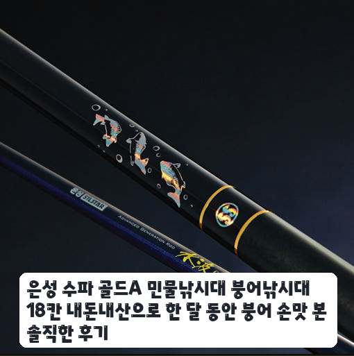붕어 밤낚시에 써본 은성 수파 골드A 18칸 한 달 사용기