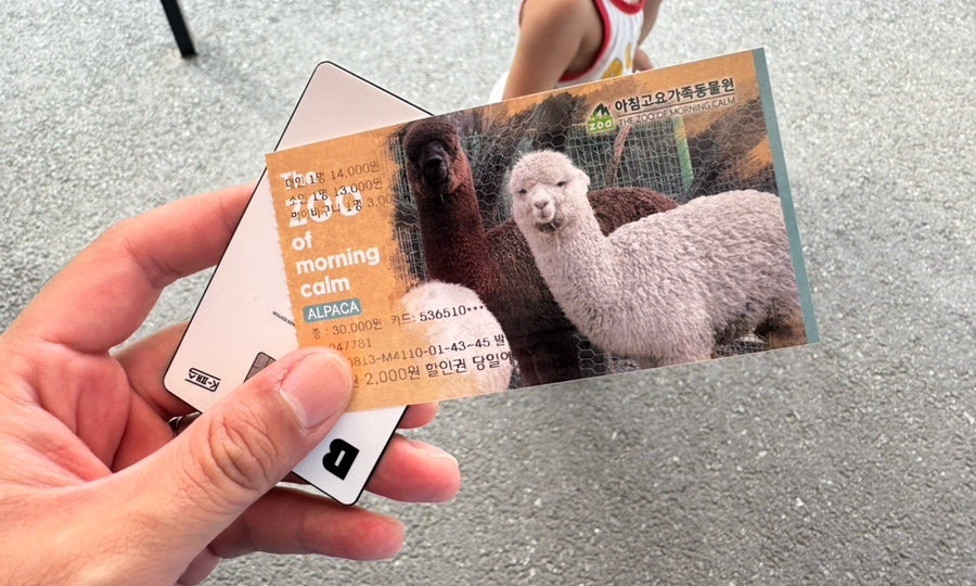 아침고요가족동물원 사진 6