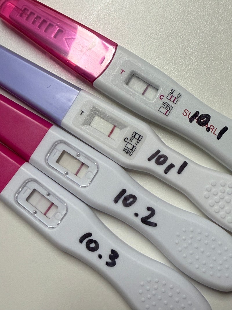 자궁외임신 MTX후기, 얼리임테기, 피검사수치 더블링