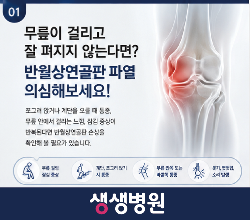 광명 정형외과 | 무릎이 걸리고 잘 펴지지 않는다면 반월상연골판 파열일까요? 부천 생생병....
