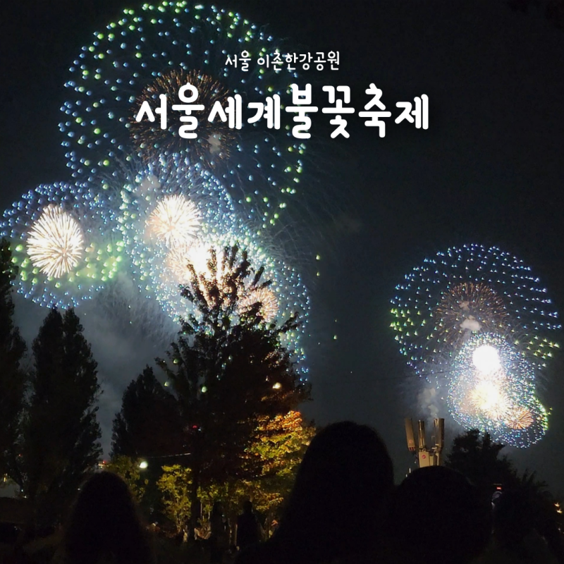 서울 불꽃축제 명당 추천, 이촌한강공원 시야부터 귀가길까지 후기