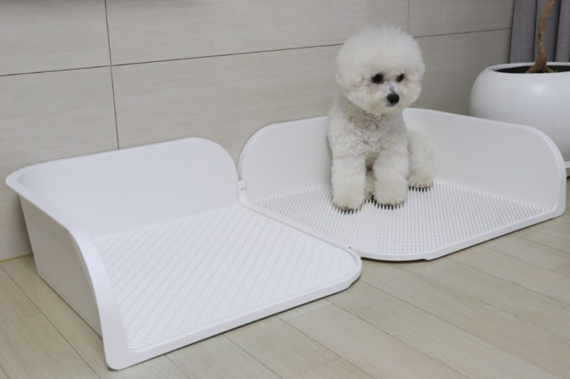 강아지 배변판 배변훈련 용품으로 실수 줄이기