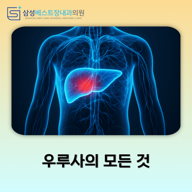 [울산 동구 내과] 약국에서 파는 우루사랑 병원에서 처방받는 우루사, 뭐가 달라요? (우루사 ....