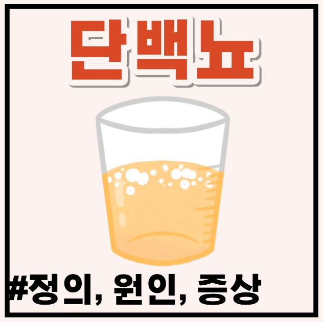 소변 거품 안 사라지고 붓는다면? 단백뇨 원인과 의심 증상