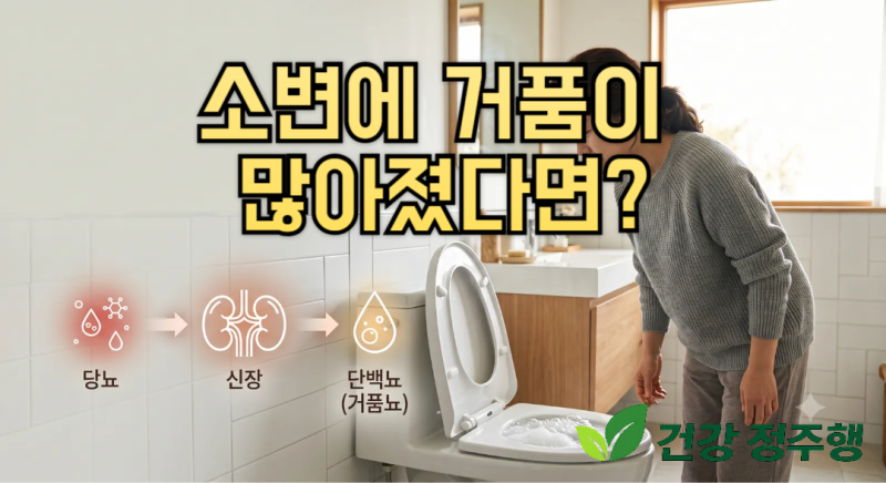 소변에 거품이 많아졌다면? 당뇨가 있다면 신장을 확인해야 하는 이유