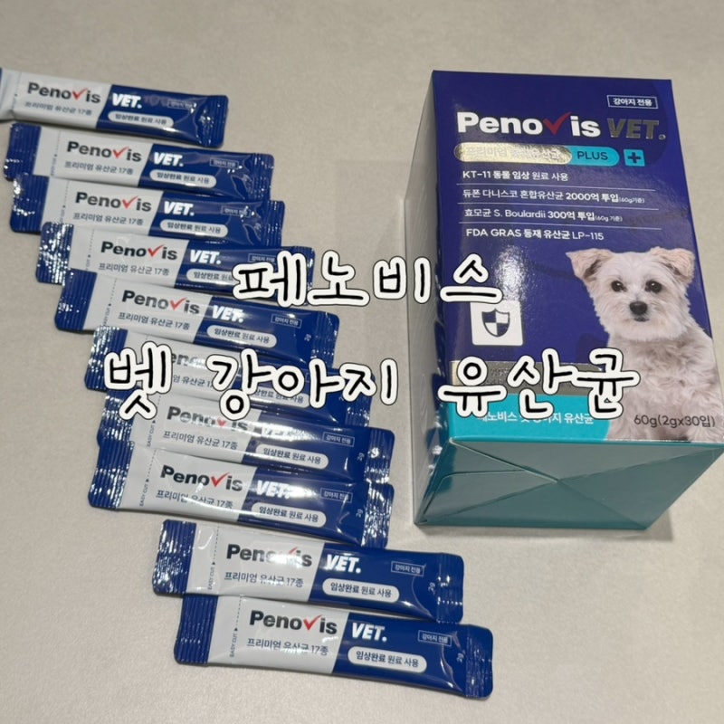 강아지 유산균 추천 페노비스 강아지 종합유산균 급여해본 후기 강아지 묽은변·면역력 관리