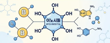 이노시톨 효능 - 미오 이노시톨 vs 콜린 이노시톨