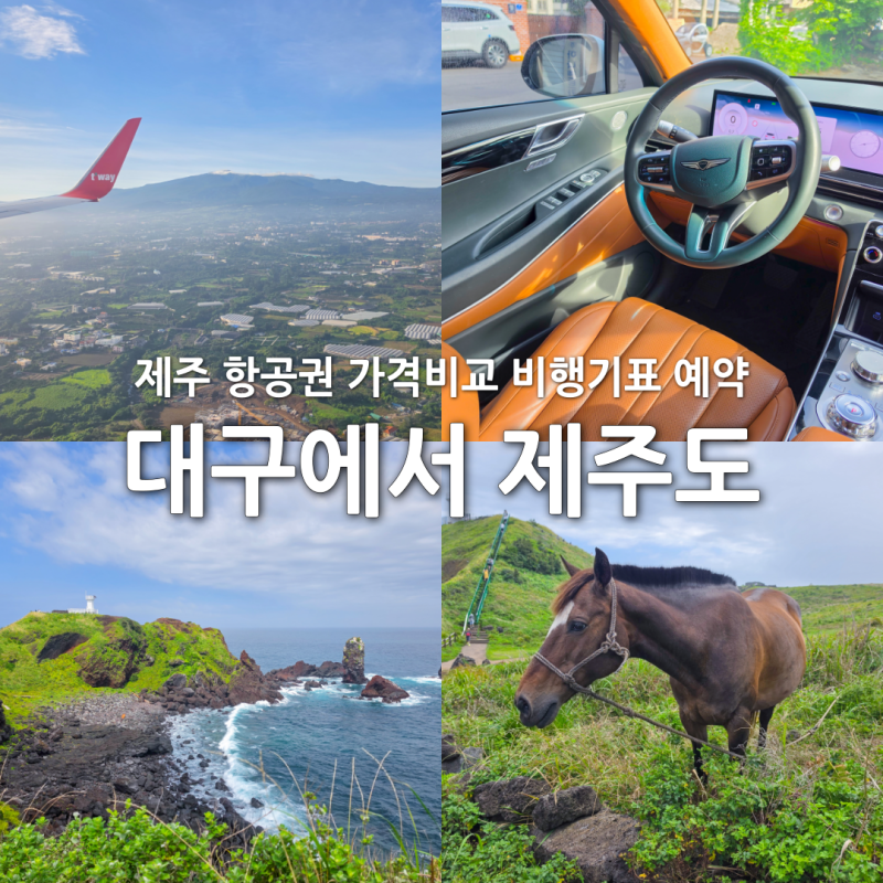 Jeju Flights: Compare Prices and Book Cheap Tickets from Daegu to Jeju