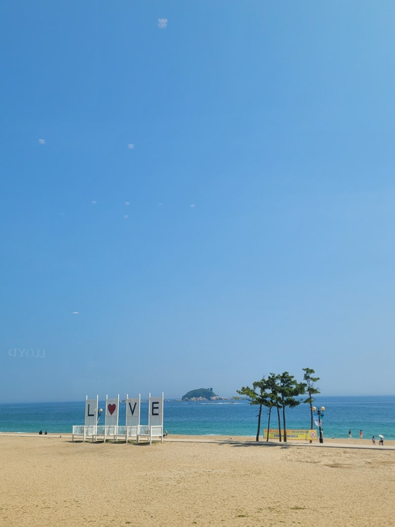 [속초 고성 숙소 추천] 켄싱턴리조트 설악비치 디럭스: 조식, 사우나, 키즈월드 부대시설 총....