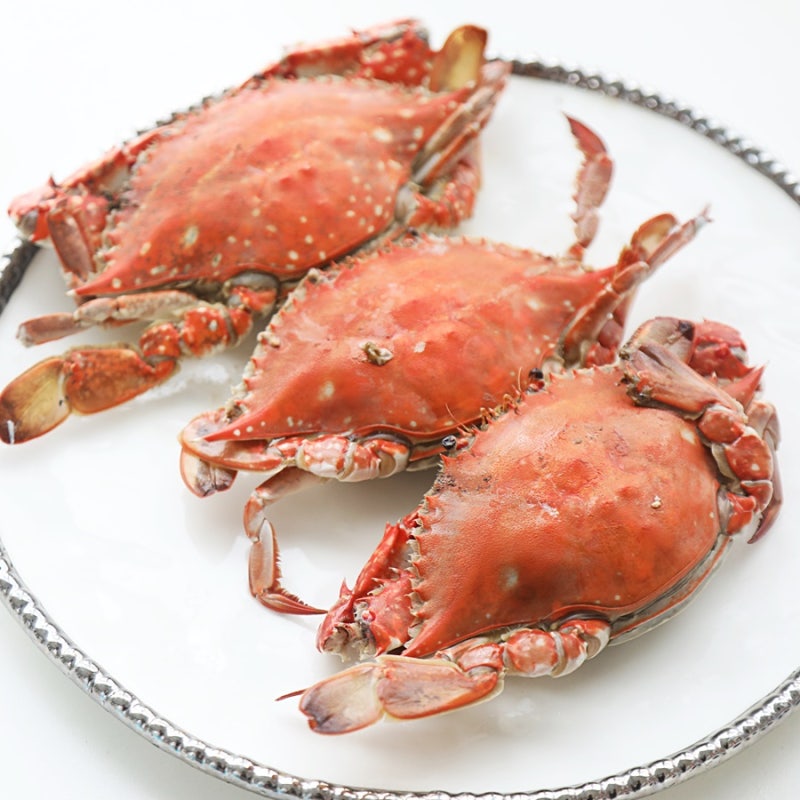 톱밥 꽃게찌는법 살아 있는 꽃게 죽이는법 손질