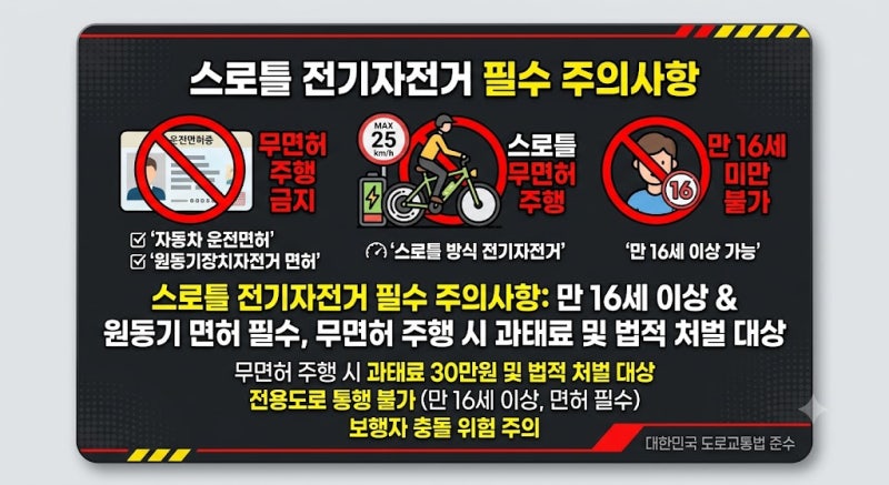 무면허로 타면 큰일난다? 구매 전 필수 체크리스트