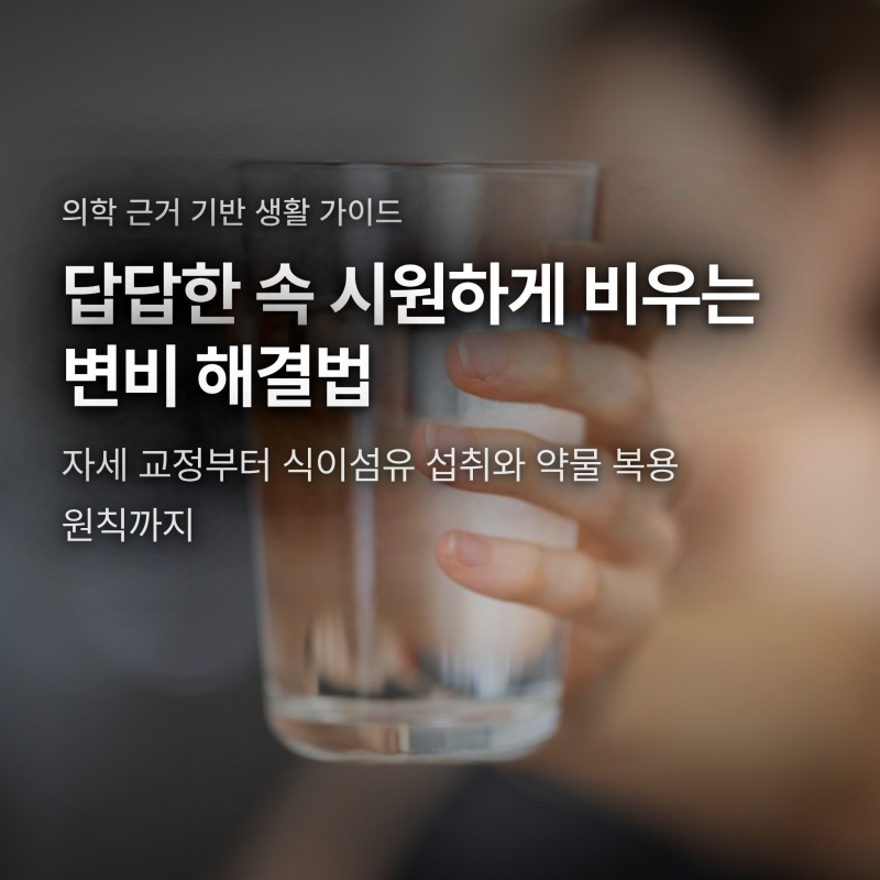 변비 해결법, 아침 배변 자세부터 식이섬유·약물 복용 원칙